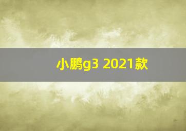 小鹏g3 2021款